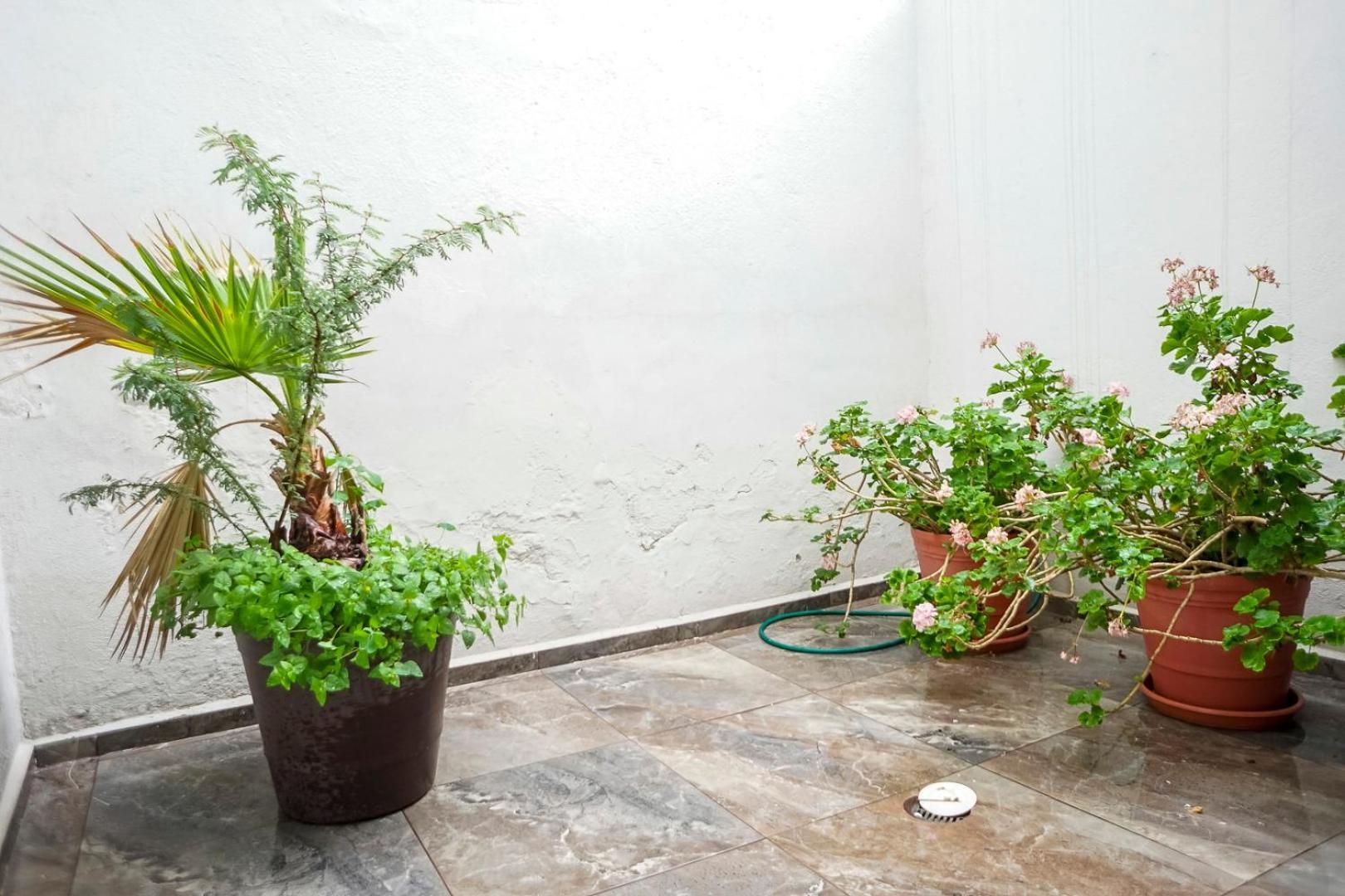 Casa Morelos Stayhouse 圣路易斯波托西 外观 照片