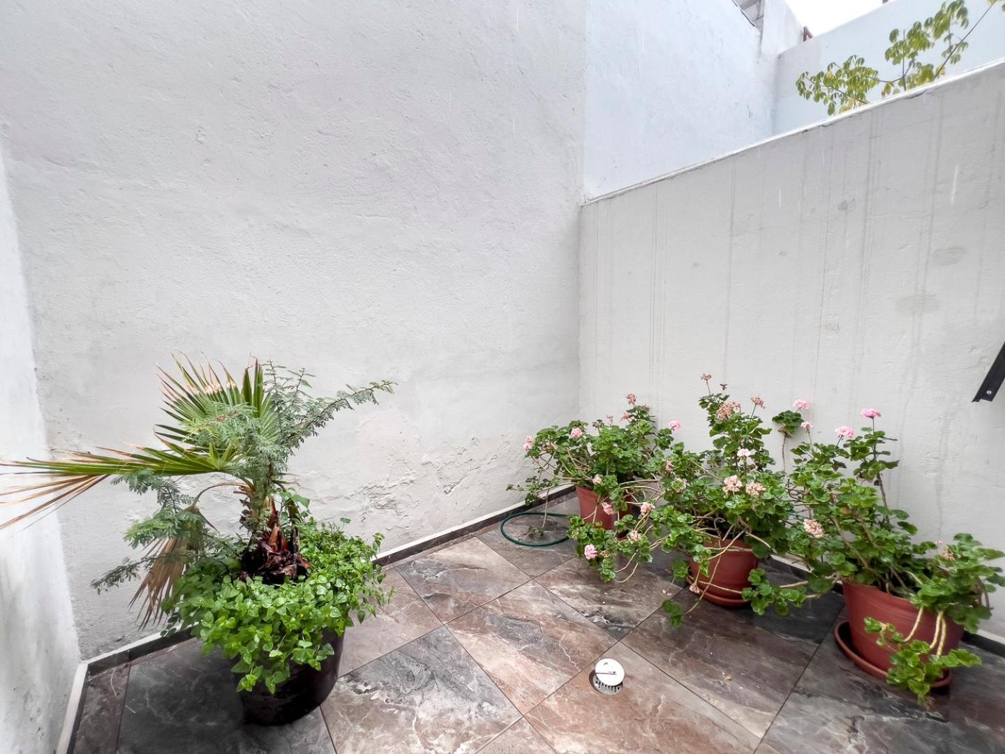 Casa Morelos Stayhouse 圣路易斯波托西 外观 照片