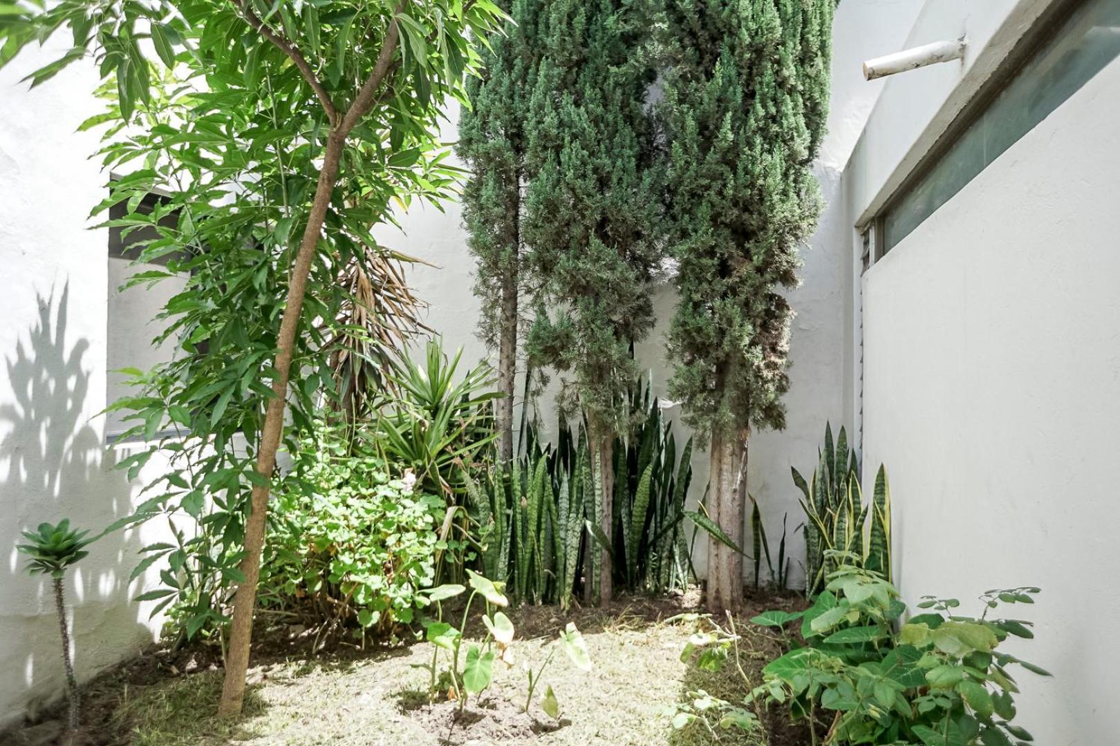 Casa Morelos Stayhouse 圣路易斯波托西 外观 照片